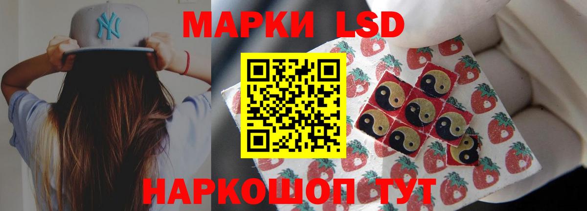 ЛСД экстази кислота  ЛСД экстази кислота  Сунжа  Вход с VPN 