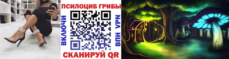 где можно купить наркотик  Сунжа  Галлюциногенные грибы ЛСД 