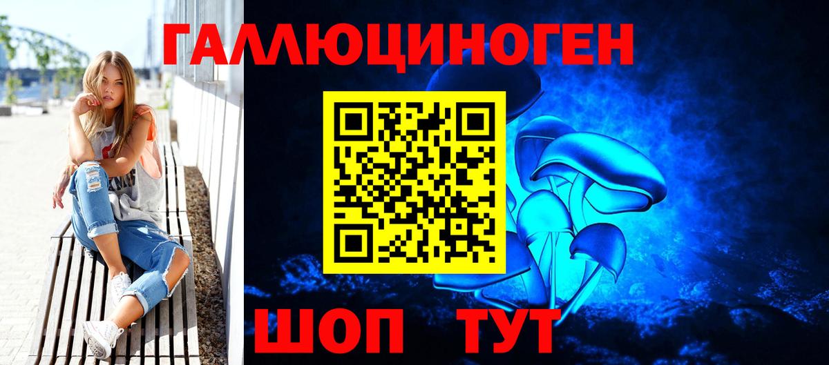 Псилоцибиновые грибы Psilocybine cubensis Сунжа