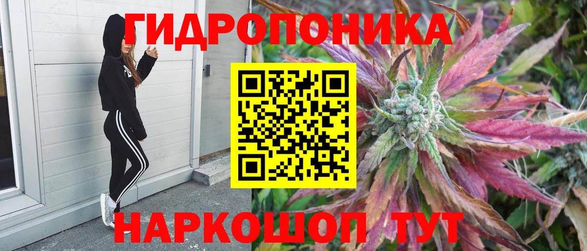 Бошки марихуана сатива  Вход с VPN  Марихуана LSD WEED  Канабис семена  Марихуана White Widow  Сунжа 